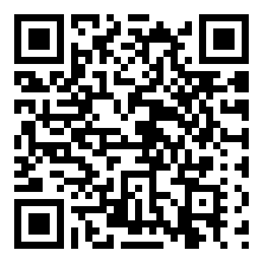 洛克人：网络战斗EXE6（电脑兽凤凰）