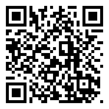 洛克人：网络战斗EXE1