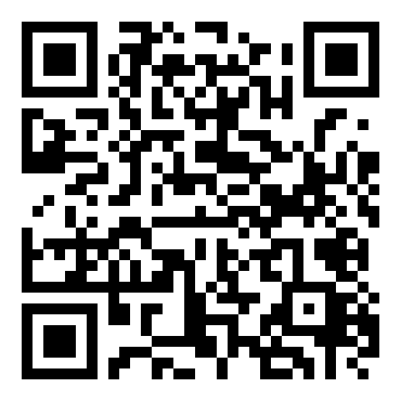 闪灵二人组：首都夺还作战