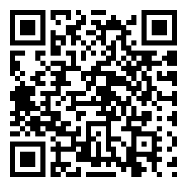 洛克人：网络战斗EXE4