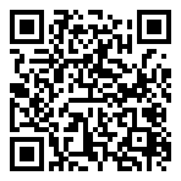 洛克人：网络战斗EXE5