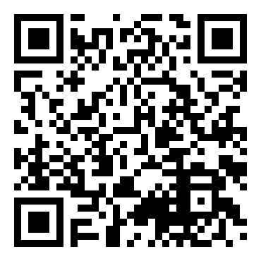 洛克人：网络战斗EXE4.5真实演习