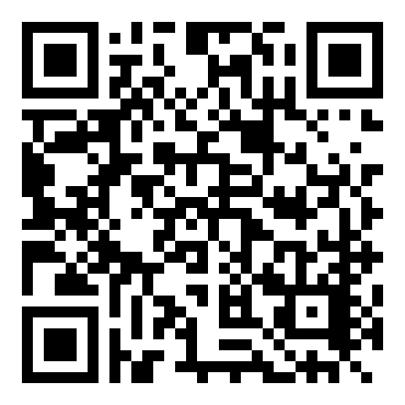 高级汽车拉力赛1