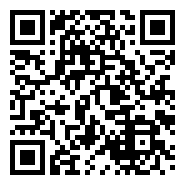 科林麦克雷拉力赛车2