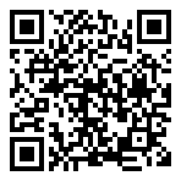 高级汽车拉力赛2