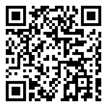 世嘉拉力锦标赛车