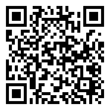 GBA电影：口袋妖怪第4卷