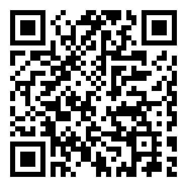 NFL橄榄球闪电大作战2002