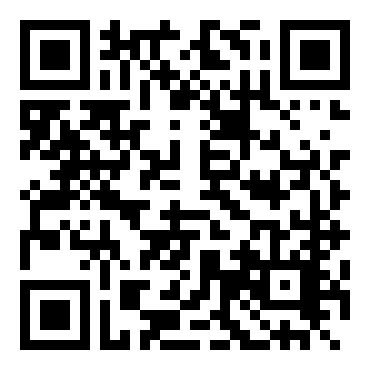 夏恩·派蒙的职业滑雪板