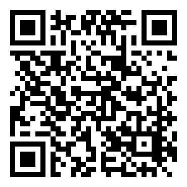 钢之炼金术师：双重共鸣