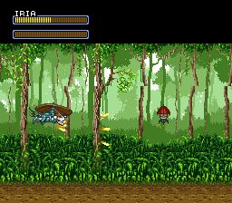 超级伊莉雅SFC游戏截图第27张