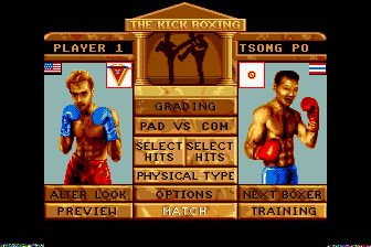 强中强：踢拳锦标赛／自由搏击：强中强MD游戏截图第6张