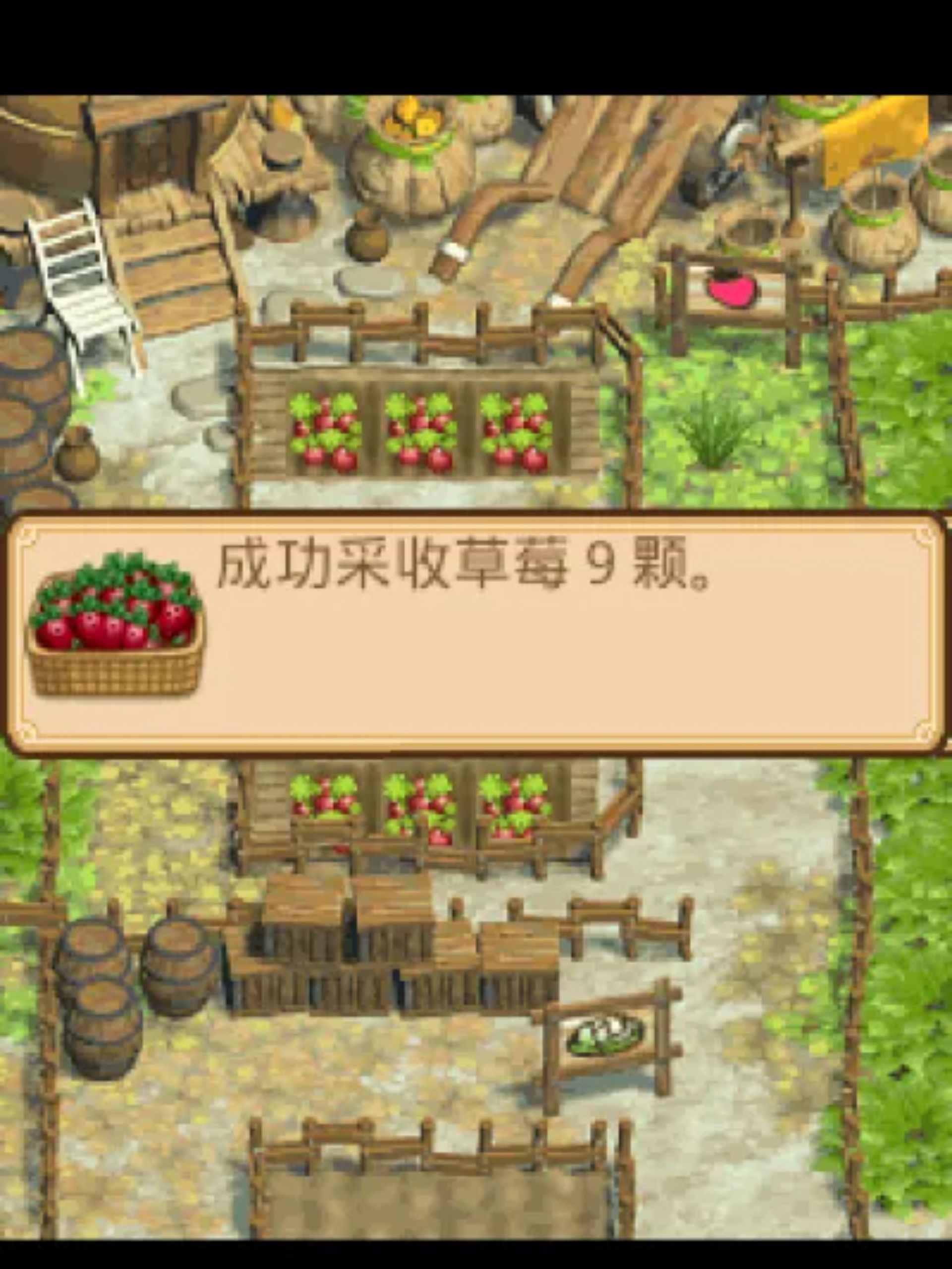 3D版田园物语Java游戏截图第10张