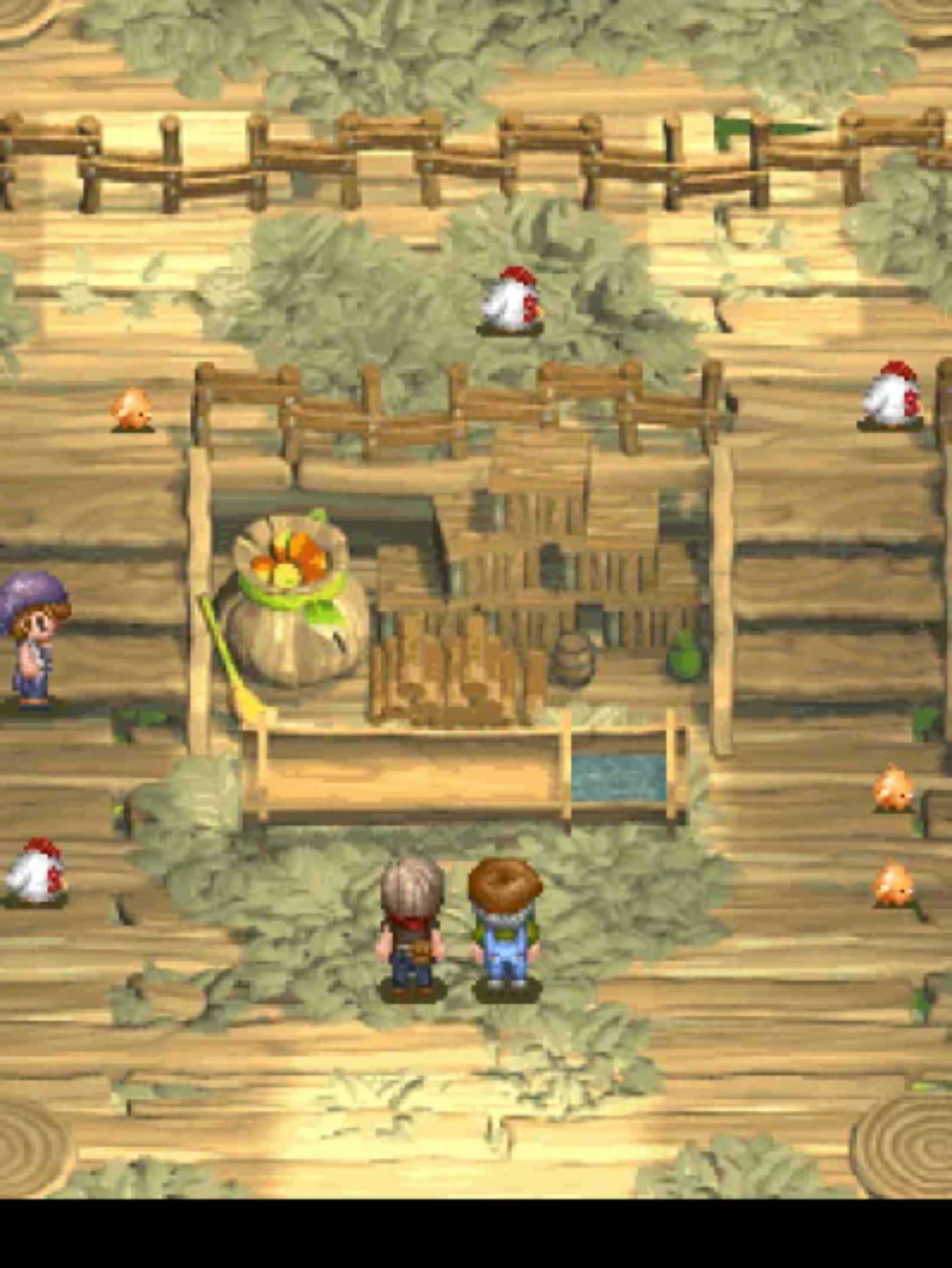 3D版田园物语Java游戏截图第3张