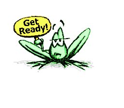 青蛙过河SFC游戏截图第4张