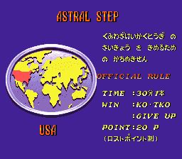 综合格斗技2SFC游戏截图第4张