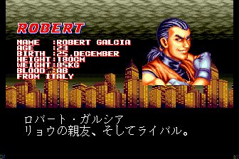 龙虎之拳MD游戏截图第6张