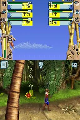 模拟人生2：孤岛物语／生存游戏／漂流者NDS游戏截图第21张