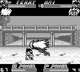 热斗RB饿狼传说特别版GB游戏截图第10张