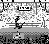 自由搏击之王／最佳空手道冠军GB游戏截图第6张