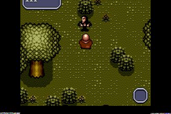 亚当斯一家的价值观MD游戏截图第4张