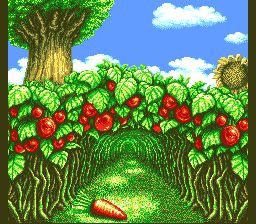 俄罗斯方块武斗外传SFC游戏截图第12张