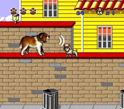 无敌当家2：我家也有贝多芬SFC游戏截图第9张