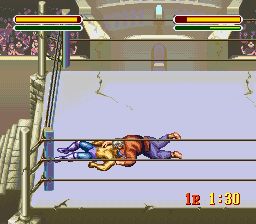 综合格斗技1：终极之战SFC游戏截图第12张