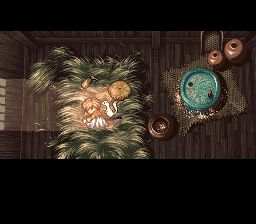 不可思议的迷宫2：风来的西林SFC游戏截图第8张