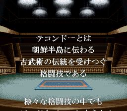 跆拳道SFC游戏截图第2张