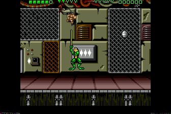 忍者蛙与双截龙MD游戏截图第25张