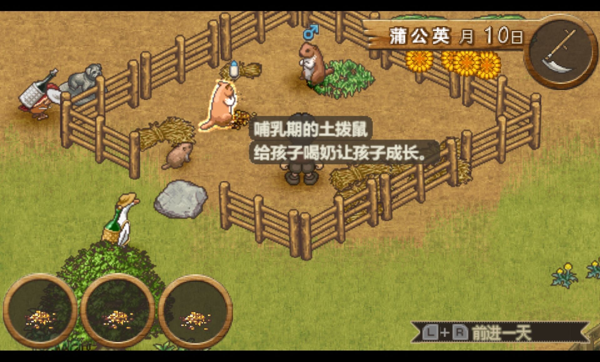 欢迎来到绵羊村PSP游戏截图第15张