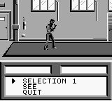 自由搏击之王／最佳空手道冠军GB游戏截图第12张