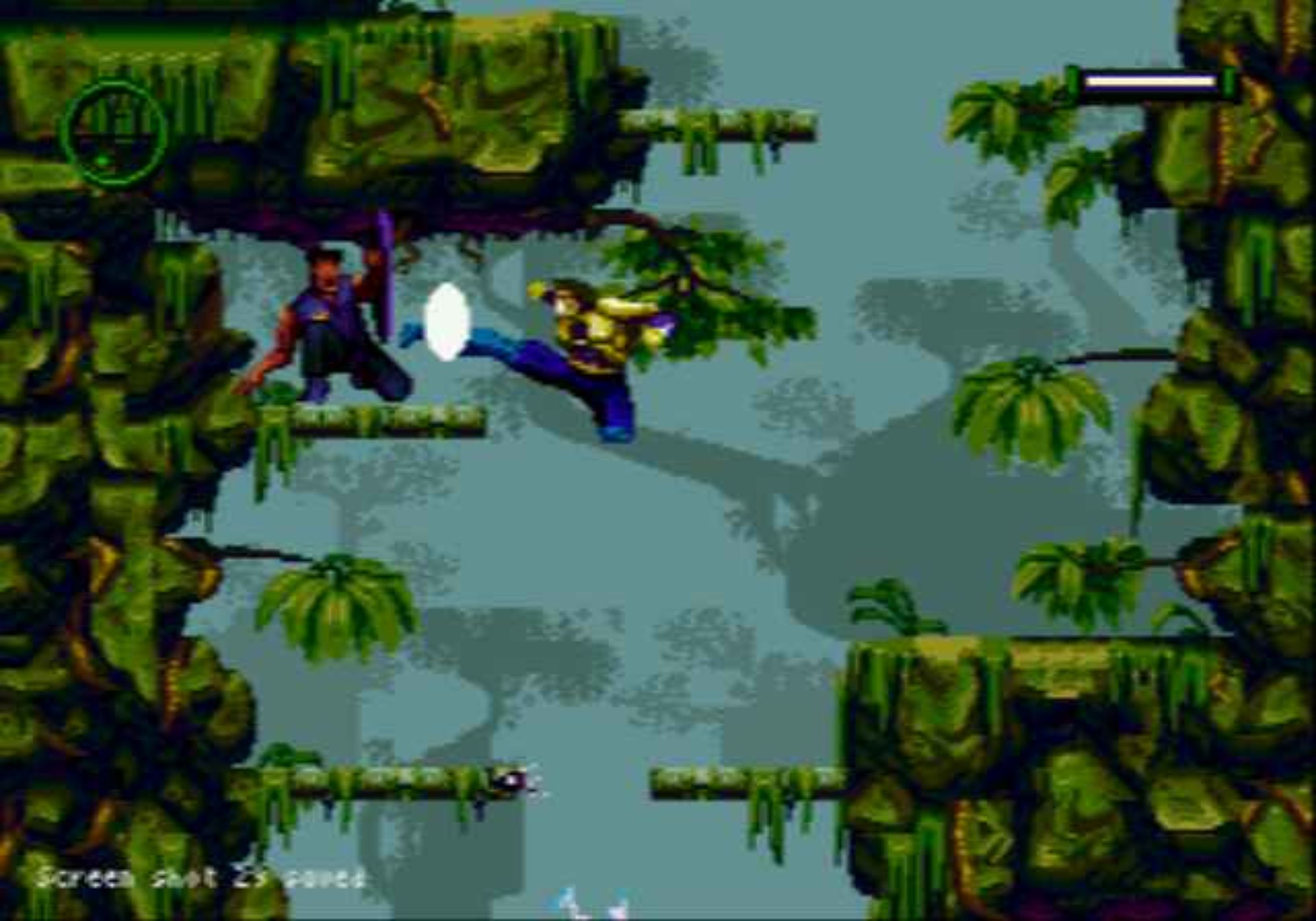 失落的世界MD游戏截图第12张