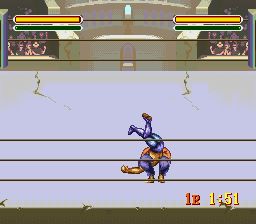 综合格斗技1：终极之战SFC游戏截图第10张