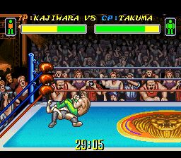 综合格斗技2SFC游戏截图第11张