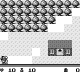 屠龙者：沉睡的王冠GB游戏截图第8张