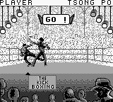 自由搏击之王／最佳空手道冠军GB游戏截图第7张