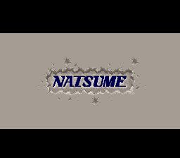 荒野之枪SFC游戏截图第1张