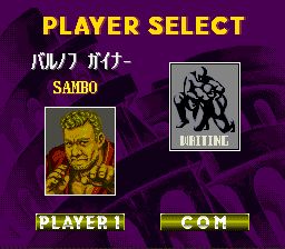 综合格斗技1：终极之战SFC游戏截图第3张