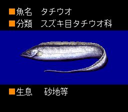 海钓名人：日本花鲈篇SFC游戏截图第5张