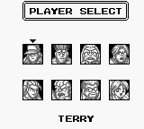 热斗饿狼传说2GB游戏截图第3张