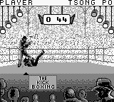 自由搏击之王／最佳空手道冠军GB游戏截图第8张