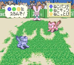 小猫物语SFC游戏截图第9张