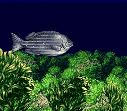 海钓高手SFC游戏截图第4张