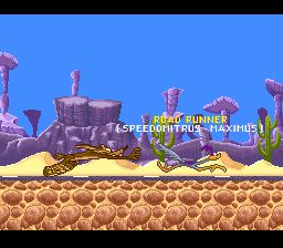 乐一通：哔哔鸟VS威利狼SFC游戏截图第4张