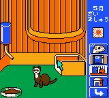 雪貂物语GBC游戏截图第6张