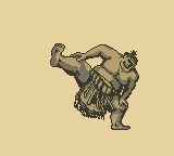 播磨滩相扑GB游戏截图第1张