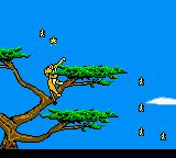 狮子王：辛巴的伟大冒险GBC游戏截图第12张