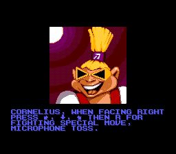 摇滚保护者SFC游戏截图第12张